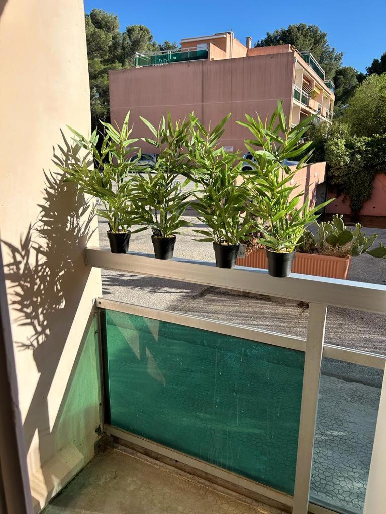 Studio Meuble Bord De Mer Bormes-les-Mimosas Exterior foto
